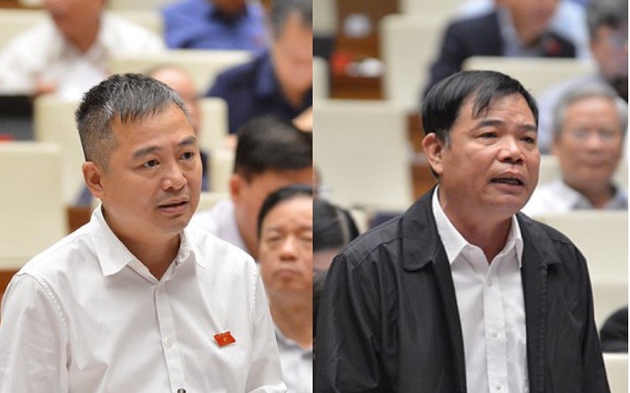 Đại biểu Quốc hội Nguyễn Lân Hiếu và Bộ trưởng Nguyễn Xuân Cường