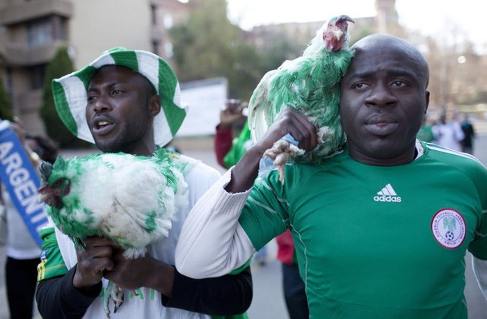 CĐV Nigeria bị cấm mang gà vào sân xem World Cup 