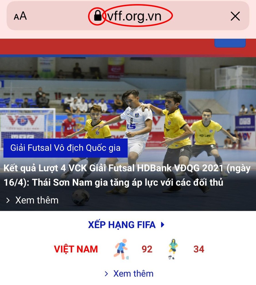 VFF cảnh báo cổ động viên tránh 'sập bẫy' website giả mạo 