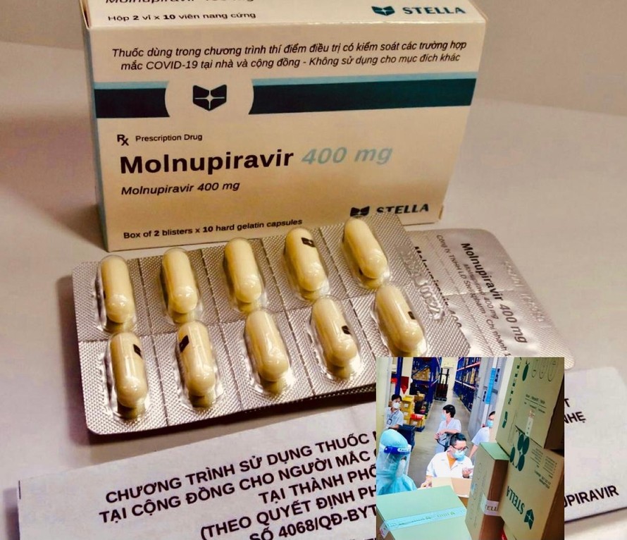 Thuốc kháng virus Molnupiravir đang được doanh nghiệp trong nước sản xuất và thử nghiệm điều trị F0 chưa được Bộ Y tế cấp phép nhưng rao bán tràn lan- ảnh L.N
