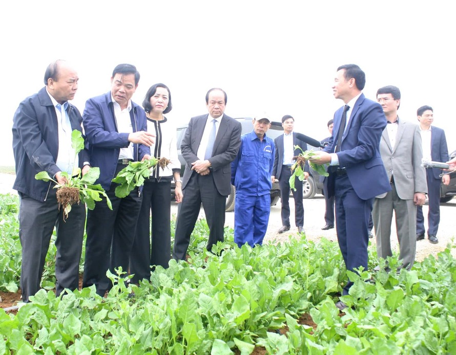 Thủ tướng Nguyễn Xuân Phúc cùng đoàn công tác tại Ninh Bình. Ảnh: N.T
