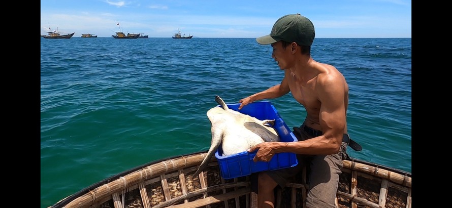 Thanh niên xứ Quảng trộm 18kg ‘mồi nhậu’ của cha thả xuống biển
