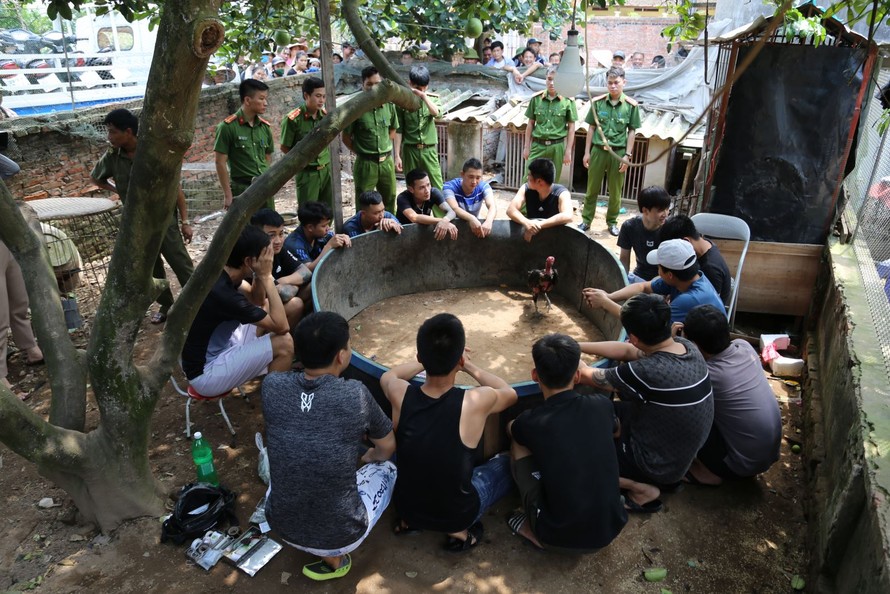Công an huyện Thuận Thành (Bắc Ninh) bắt quả tang các đối tượng đánh bạc dưới hình thưc đá gà