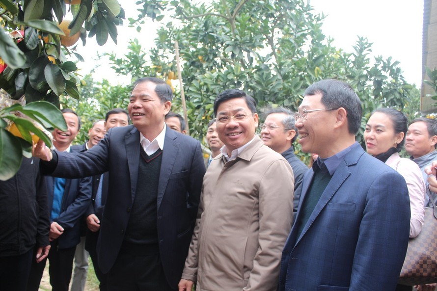 Bộ trưởng Nguyễn Xuân Cường (ngoài cùng bên trái) cùng với Bí thư Tỉnh ủy Bắc Giang Dương Văn Thái và Chủ tịch UBND tỉnh Bắc Giang Lê Ánh Dương thăm vườn bưởi ở huyện Lục Ngạn