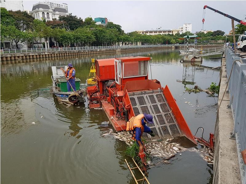 Cá chết nổi trắng trên kênh Nhiêu Lộc - Thị Nghè.