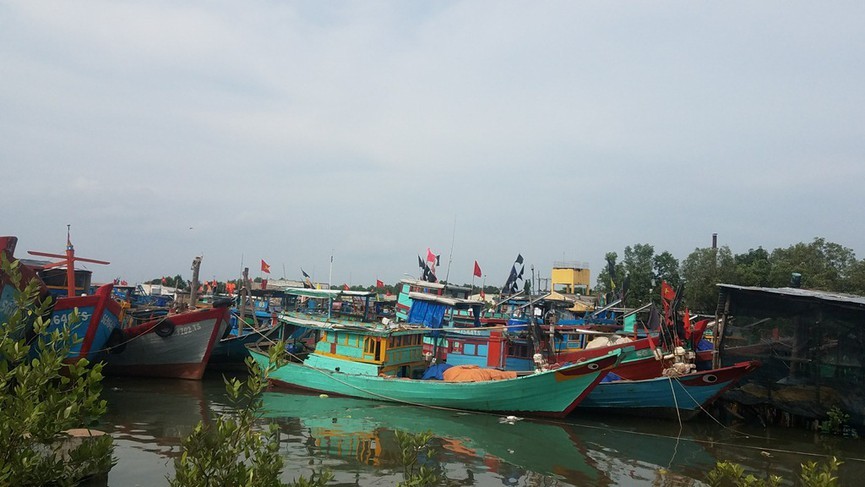 Tàu thuyền neo đậu ở huyện Cần Giờ tránh bão hồi tháng 11/2018.