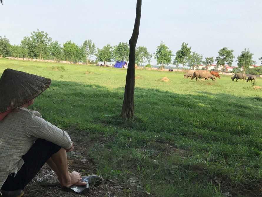 Tình trạng các dự án đô thị bỏ hoang đất gây lãng phí nhiều năm gây nhức nhối dư luận (Trong ảnh là một dự án bất động sản tại Mê Linh, Hà Nội) Ảnh: Minh Tuấn