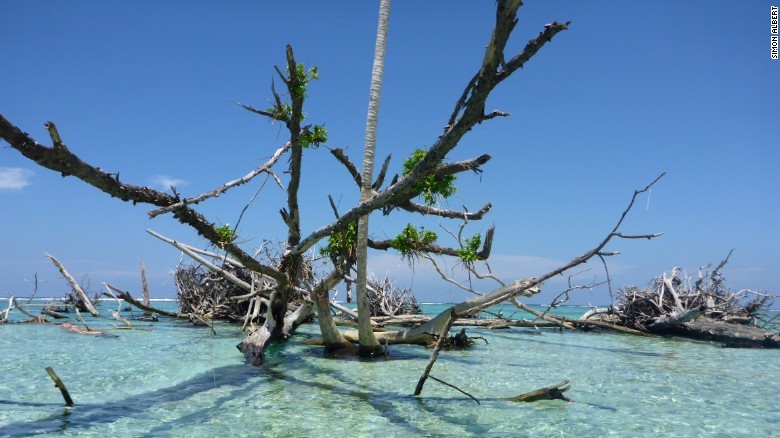 Hòn đảo Sogomou nay đã mất 50% diện tích vì nước biển dâng.