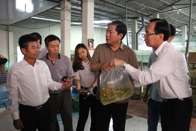 Bí thư Đinh La Thăng thăm cơ sở sản xuất cá cảnh xuất khẩu tại TPHCM (Ảnh: Báo Giao thông)