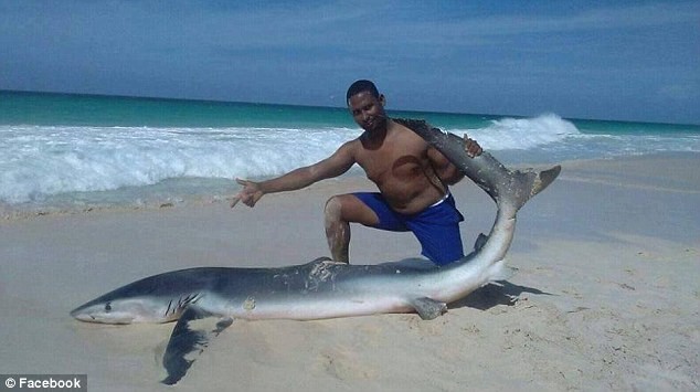 Một du khách chụp ảnh cùng con cá mập tội nghiệp.
