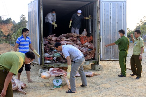Phát hiện, thu giữ gần 10 tấn thịt thối tại trang trại Thanh Nga. Ảnh: TL