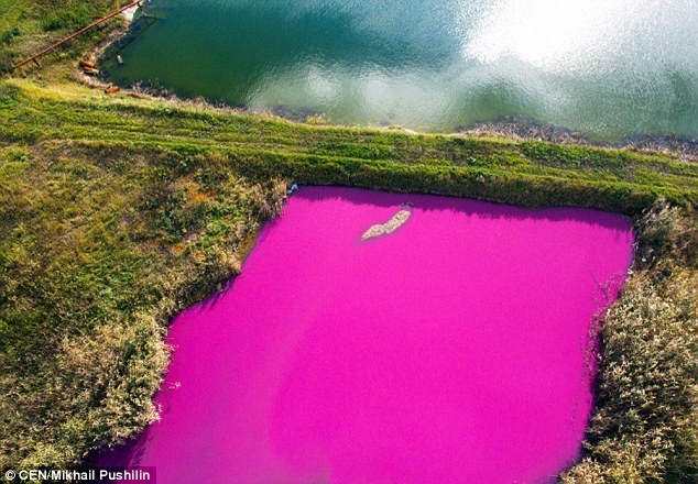 Cảnh hồ nước chuyển màu hồng ở Stavropol (Nga) chụp từ camera bay.