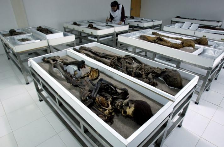 Các xác ướp được bảo quản tại bảo tàng San Miguel (Arica, Chile).