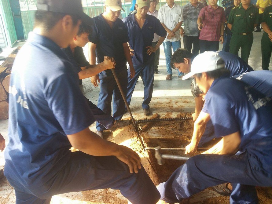 Lực lượng chức năng tiến hành kiểm tra những khúc gỗ phát hiện ngà voi.