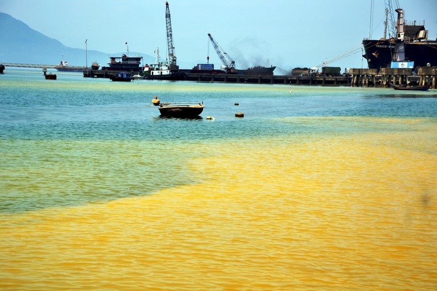 Vùng nước vàng xuất hiện nhiều ở cửa sông Lạch Giang gần biển.