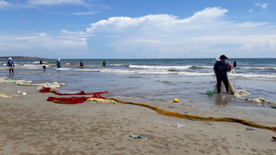Người dân trình báo hải sản chết bất thường ngoài biển Vĩnh Tân