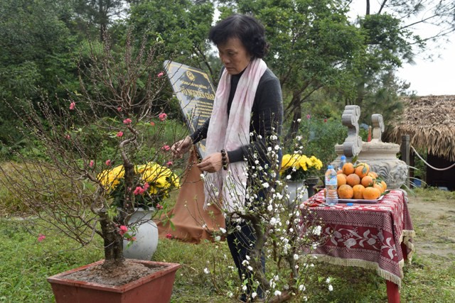 Bà Võ Hoà Bình bên cây mai trắng và đào Nhật Tân đưa từ Hà Nội vào trang hoàng trên khu mộ