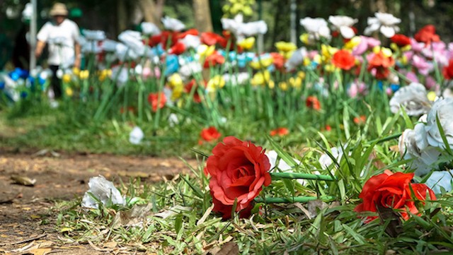 Hàng nghìn đoá tulip, hoa hồng đủ màu sắc được trang trí trong một khuôn viên gần sân khấu chính của Thảo Cầm Viên, thu hút đông người đến tham quan, chụp ảnh. Nhưng sau vài lượt khách đầu tiên ghé chân, nhiều bông hoa đã ngã rạp.