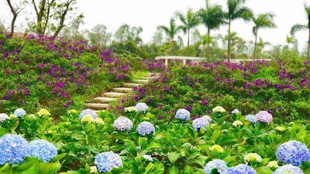 Một góc Eco Maze Thăng Long - Rose Park