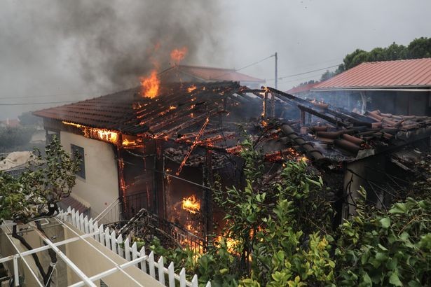 Một ngôi nhà bị lửa thiêu rụi trong đám cháy rừng ở Hy Lạp. Ảnh: Tân Hoa Xã