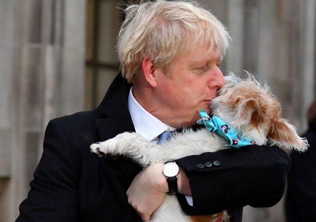 Thủ tướng Anh Boris Johnson ôm chó cưng đi bỏ phiếu. Ảnh: Reuters