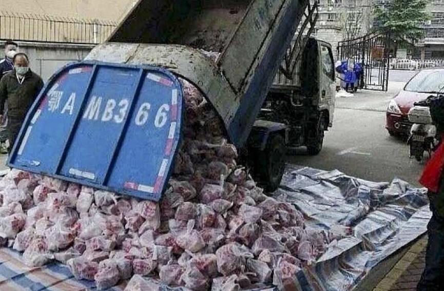 Thịt lợn được phân phối bằng xe rác ở Vũ Hán. 
