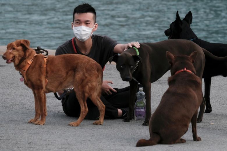 Một thanh niên dắt chó đi dạo ở Hồng Kông. Ảnh: Reuters