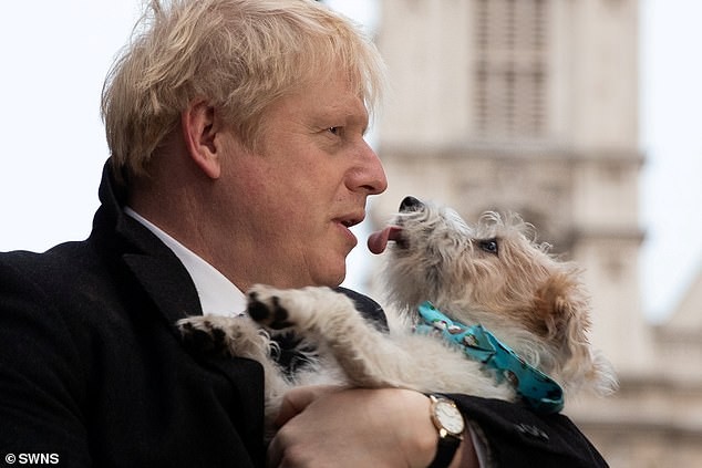 Thủ tướng Anh Boris Johnson và chú chó cưng Dilyn. Ảnh: SWISS