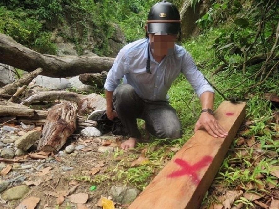 Tháng 8/2020, lực lượng chức năng Quảng Ngãi phát hiện một vụ phá rừng phòng hộ ở xã Ba Xa, huyện Ba Tơ, tỉnh Quảng Ngãi. Ảnh: Nguyễn Ngọc