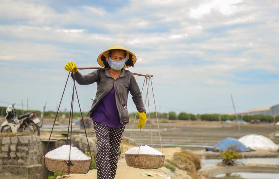 Nghề làm muối là nghề truyền thống lâu đời của người dân một số huyện của tỉnh Bình Định. Ảnh: Trương Định