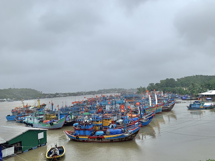  Tàu cá của ngư dân Quảng Ngãi vào bờ tránh trú bão số 9. Ảnh: Nguyễn Ngọc