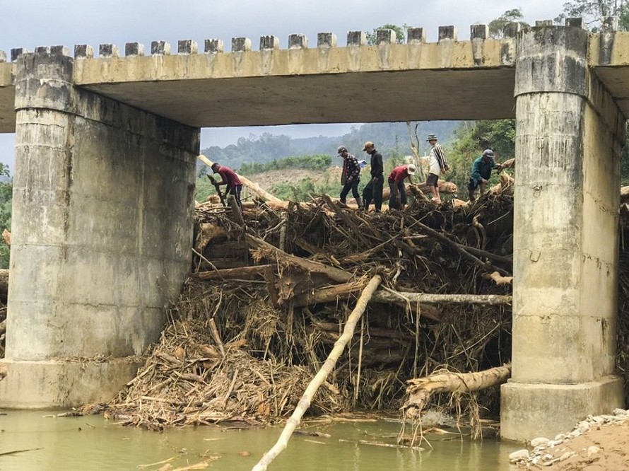 Hàng trăm khối gỗ khai thác trái phép chèn kín, 'đe dọa' cầu Nước Bua