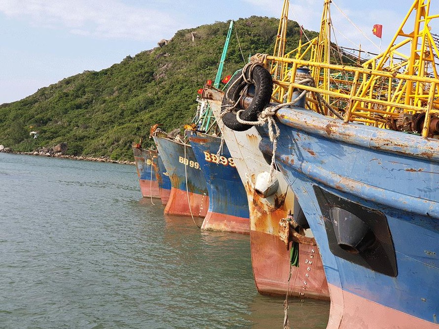 Bình Định hiện có 38 tàu cá đóng mới theo Nghị định 67/2014/NĐ-CP hết hạn bảo hiểm phải nằm bờ.