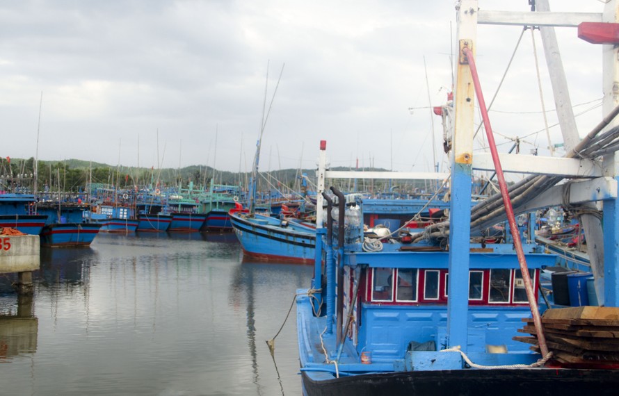 Bình Định được xem là tỉnh có số lượng tàu đánh bắt xa bờ lên đến hàng nghìn chiếc.