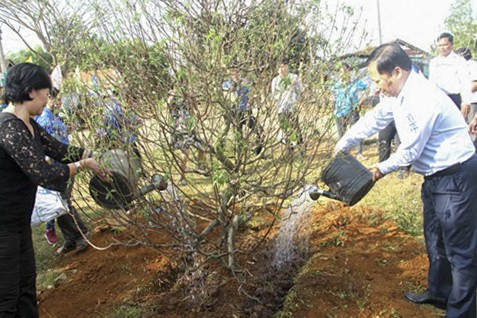 Lần đầu tiên đưa cây hoa đào về xã miền núi Vĩnh Sơn - ảnh chụp năm 2019.