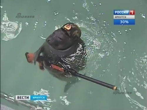 Lộ diện những chiến binh hải cẩu ‘bảo bối’ của quân đội Nga