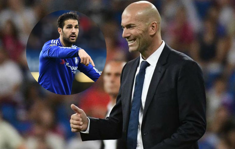 HLV Zidane không có kế hoạch mang Fabregas về Real Madrid.