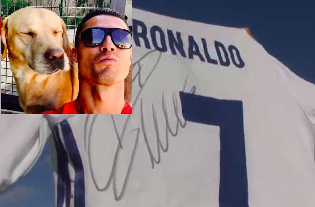 Cristiano Ronaldo rất yêu thương động vật.