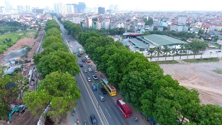 1.300 cây xanh nằm hai bên đường Phạm Văn Đồng dự kiến sẽ được chặt hạ, đánh chuyển do nằm trong dự án đầu tư mở rộng đường Vành đai 3