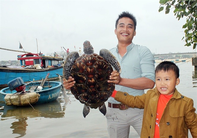 Cha con anh Nguyễn Văn Đoàn giao lại con rùa quý hiếm cho cơ quan chức năng để thả về lại biển. Ảnh: QH