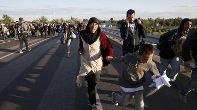 Khoảng 300 người di cư bỏ chạy trên đường cao tốc Hungary, hướng về thủ đô Budapest. Ảnh: Reuters