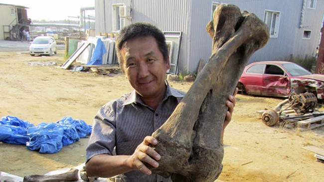 Các nhà khoa học đang vui mừng với việc phát hiện ra một bộ xương gần như hoàn toàn được bảo tồn trong lớp băng vĩnh cửu. Ảnh: Viện khoa học Cộng hòa Sakha