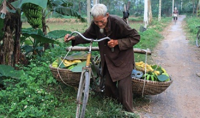 Với ông cụ này được lao động là một niềm hạnh phúc.