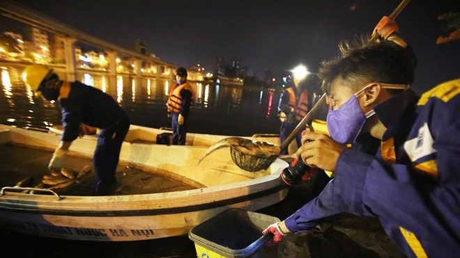 Ít giờ sau chỉ đạo của Chủ tịch UBND TP Hà Nội Nguyễn Đức Chung, hơn 400 nhân viên từ nhiều đơn vị thuộc Công ty TNHH MTV thoát nước Hà Nội đã làm việc từ 19h đến hơn 1h sáng ngày 9/6 để vớt hết số cá chết nổi trắng mặt hồ Hoàng Cầu, Đống Đa.