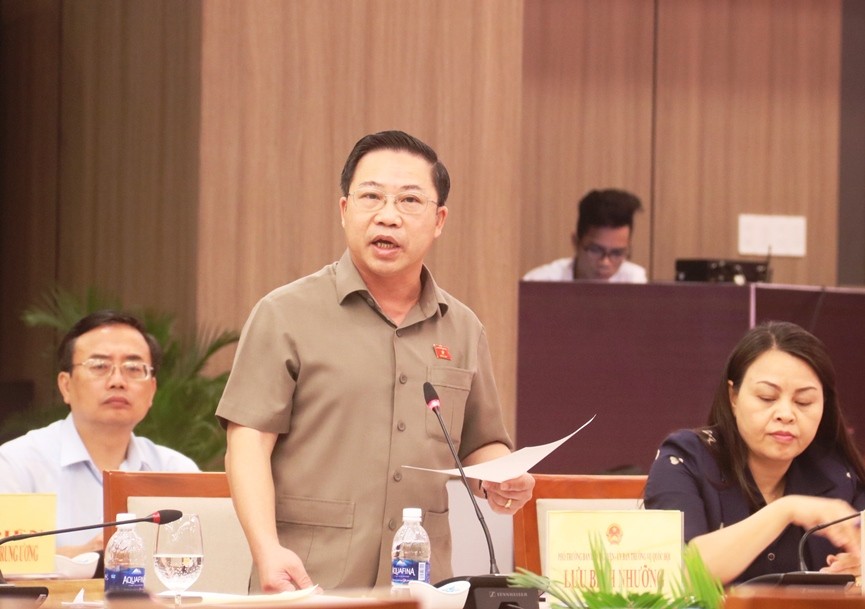 Ông Lưu Bình Nhưỡng phát biểu tại phiên họp. Ảnh: Nguyễn Thành