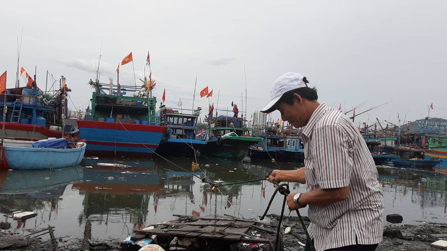 Ngư dân Đà Nẵng neo đậu tàu thuyền tại âu thuyền Thọ Quang. 