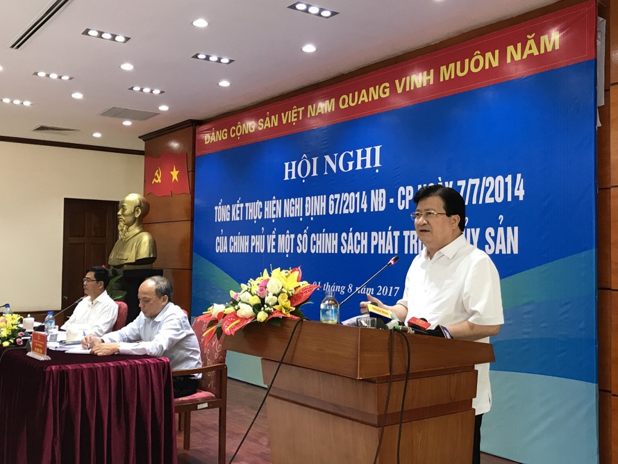 Phó Thủ tướng Trịnh Đình Dũng yêu cầu xử lý nghiêm những tổ chức, cá nhân sai phạm trong vụ hàng loạt tàu cá vỏ thép bị hư hỏng