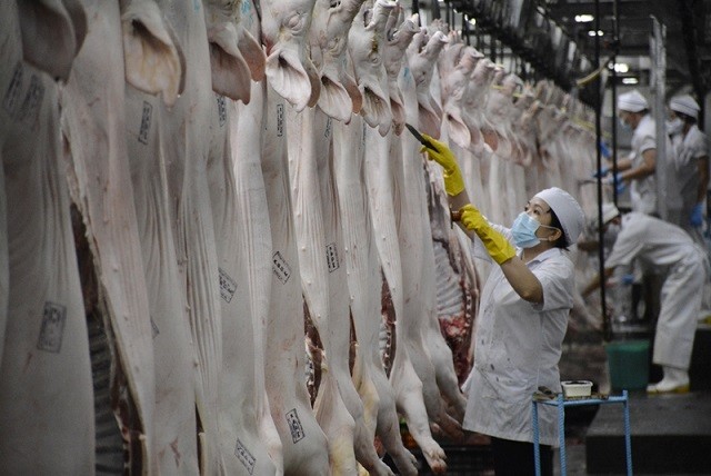 Bộ NN&PTNT sẽ thành lập tổ công tác hỗ trợ triển khai dự án chuỗi chăn nuôi, giết mổ, chế biết thịt lợn của Masan tại Hà Nam