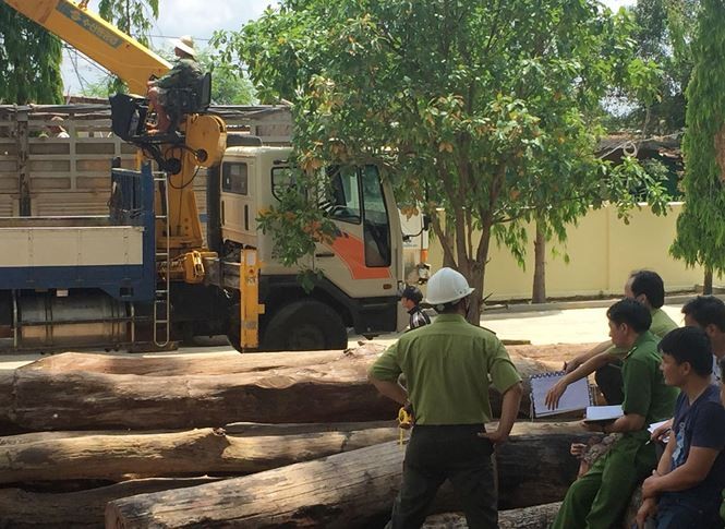 Lực lượng chức năng kiểm tra khu vực chứa gỗ của trùm Phượng "râu"