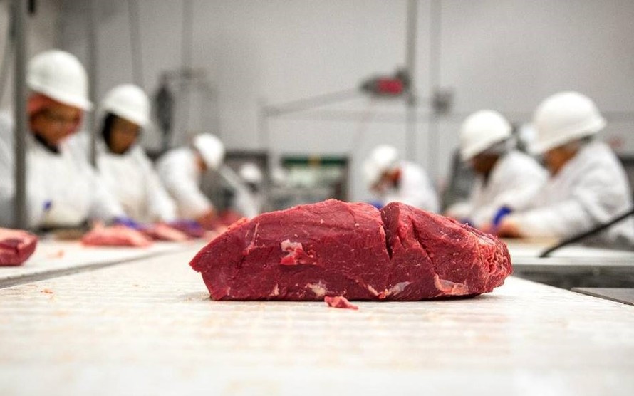 Tây Ban Nha dự kiến sẽ đẩy mạnh xúc tiến, tấn công đưa thịt bò nước này vào thị trường Việt Nam.